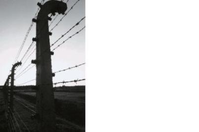 CONVIVERE CON AUSCHWITZ Tra guerra e pace